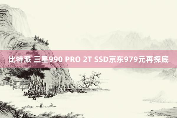 比特派 三星990 PRO 2T SSD京东979元再探底