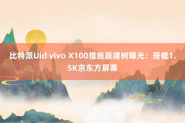 比特派Uid vivo X100措施版建树曝光：搭载1.5K京东方屏幕