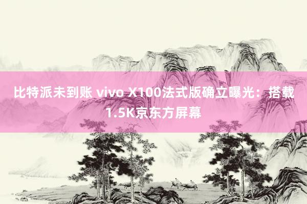 比特派未到账 vivo X100法式版确立曝光：搭载1.5K京东方屏幕