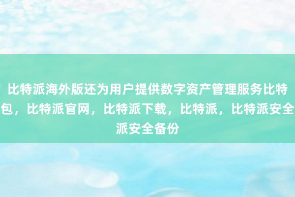 比特派海外版还为用户提供数字资产管理服务比特派钱包，比特派官网，比特派下载，比特派，比特派安全备份