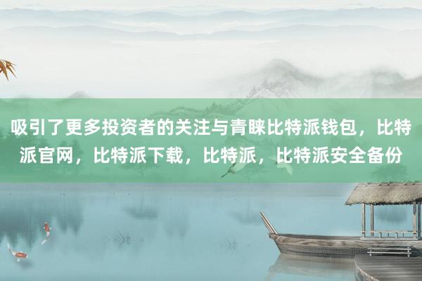 吸引了更多投资者的关注与青睐比特派钱包，比特派官网，比特派下载，比特派，比特派安全备份