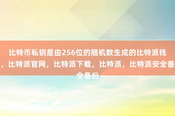 比特币私钥是由256位的随机数生成的比特派钱包，比特派官网，比特派下载，比特派，比特派安全备份