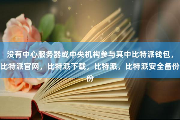 没有中心服务器或中央机构参与其中比特派钱包，比特派官网，比特派下载，比特派，比特派安全备份