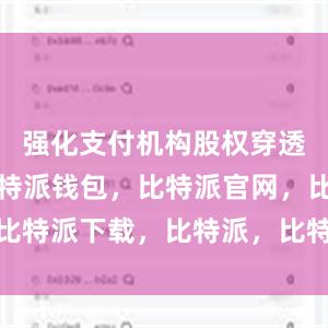 强化支付机构股权穿透式监管比特派钱包，比特派官网，比特派下载，比特派，比特派安全备份