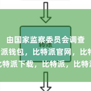 由国家监察委员会调查终结比特派钱包，比特派官网，比特派下载，比特派，比特派安全备份