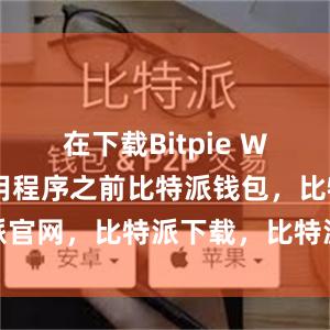 在下载Bitpie Wallet应用程序之前比特派钱包，比特派官网，比特派下载，比特派，比特派安全备份