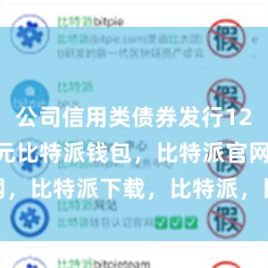 公司信用类债券发行12339.2亿元比特派钱包，比特派官网，比特派下载，比特派，比特派安全备份